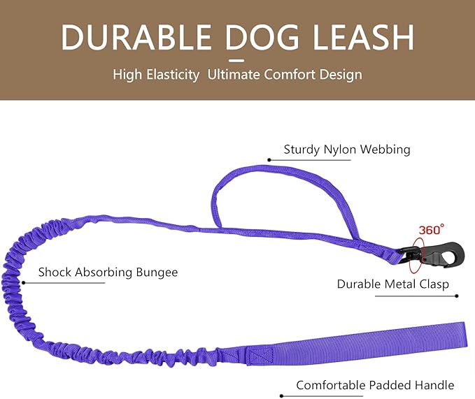 DAGANXI Tactical Dog Collar, Adjustable Military Training Nylon Dog Collar with Control Handle and Heavy Metal Buckle for Medium and Large Dogs, with Patches and Airtags Case (Purple-Set, M)