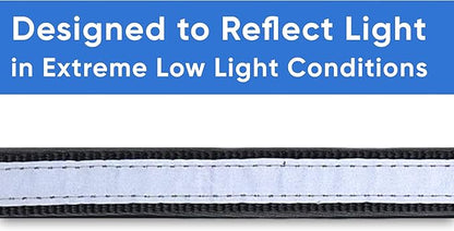 Pawtitas Lumberjack Padded Martingale Collar for Dogs | Soft Neoprene Dog Collar for Your pet's Comfort Made with Reflective Band for Maximum Visibility | Fits Small and Large Pets - Medium Black