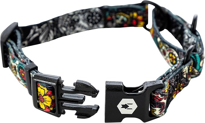 Wolfgang Heavy Duty Martingale Dog Collar with Quick Release Nylon Buckle for Walking & Training, LosMuertos Print, Small