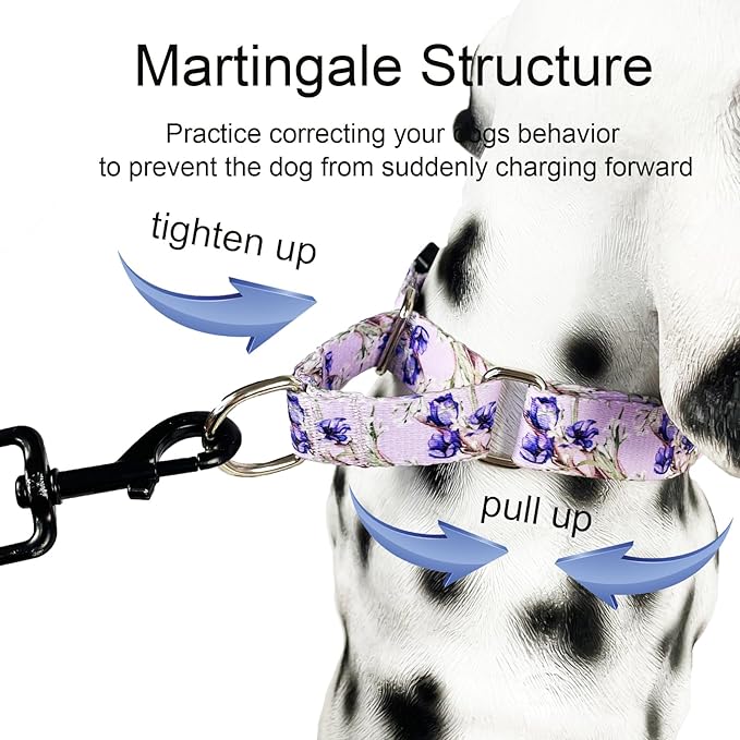Purple Martingale Dog Collars for Medium Dogs with Buckle Floral Pattern Nylon Dog Collar (Purple Lily, Medium)