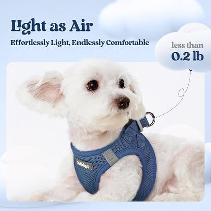 rabbitgoo Dog Harness Small Sized and Leash Set, Step in Soft Light Puppy Vest, Breathable Mesh Pet Harness, Reflective for Outdoor Safe Walking, Navy Blue XXL