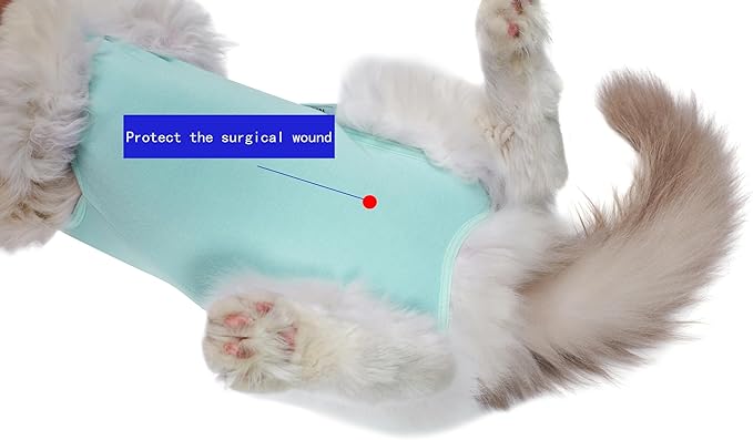 Cat Recovery Suit Female Kitten Onesie for Cats After Surgery Female Spay Surgical Abdominal Wound Skin Diseases Cone Collar Soft Alternative Wear (Green, L)