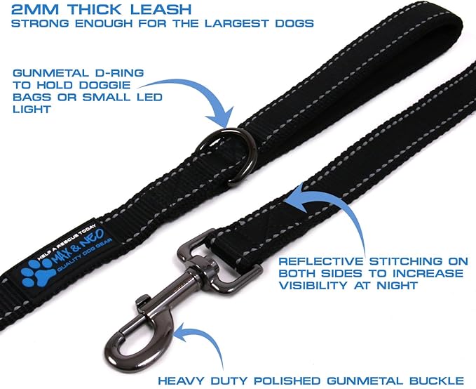 Max and Neo Reflective Nylon Dog Leash - We Donate One for Every Sold (Purple, 6ft)