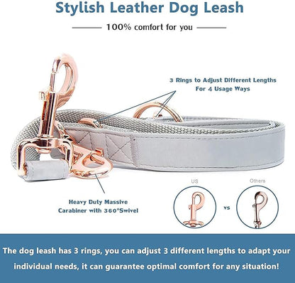 Soft Leather Dog Collar and Leash (6.6') Set - Stylish Rose Gold Heavy Duty Metal Buckle, 4 Adjustable Lengths Leash for Small Medium Large Dogs - Comfortable & Easy to Clean Grey XS(8"-12")