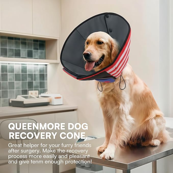 Queenmore Dog Cone, Cone for Dogs to Stop Licking, Dog Cones for Medium Dogs, Adjustable Doggy Recovery Collars & Cones, Elizabethan Collar for Pets After Surgery, USAFlag M