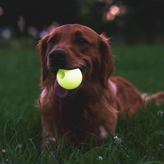 Chew King by Mammoth Bacon Flavored Dog Balls, Glow 2.5" 2-Pk