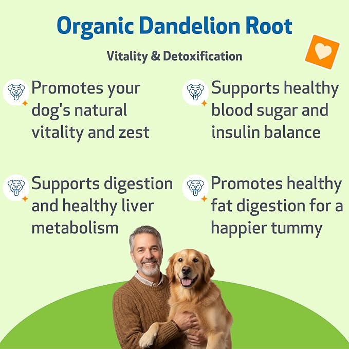 Pet Wellbeing Dandelion Root for Dogs - Liver & Heart Health, Digestive Function, Blood Sugar Support, Certified Organic - Veterinarian-Formulated Herbal Supplement 2 oz (59 ml)