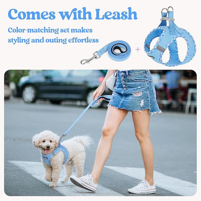 rabbitgoo Dog Harness Small Sized and Leash Set, Step in Soft Light Puppy Vest, Breathable Mesh Pet Harness, Reflective for Safe Easy Walking, Blue & Plaid Trim XS