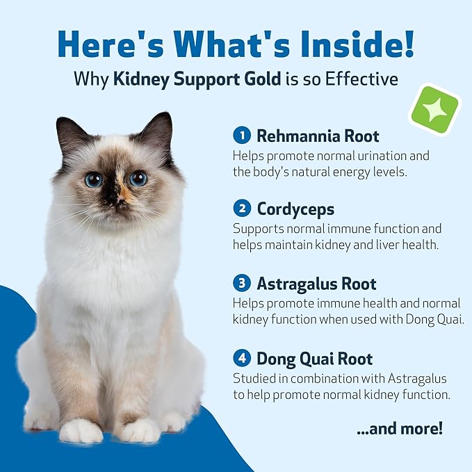 Pet Wellbeing Kidney Support Gold for Cats - Supports Normal Kidney Function & Detox, Healthy Hydration & Energy with Rehmannia & Dong Quai - NASC Certified & Vet-Formulated - 4 oz Liquid Formula