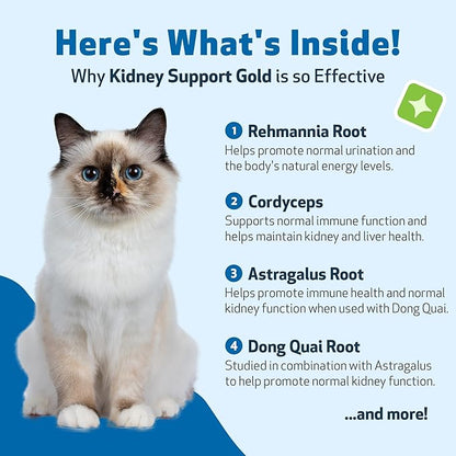 Pet Wellbeing Kidney Support Gold for Cats - Supports Normal Kidney Function & Detox, Healthy Hydration & Energy with Rehmannia & Dong Quai - NASC Certified & Vet-Formulated - 4 oz Liquid Formula