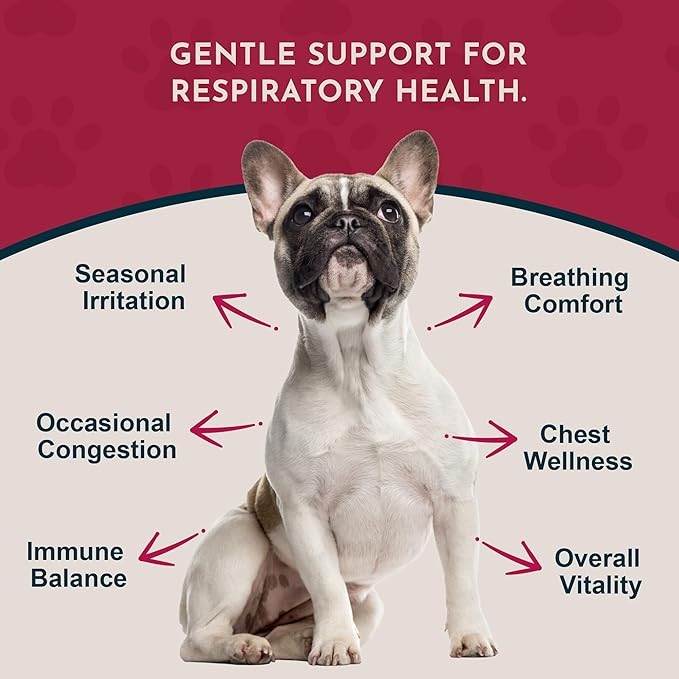 Animal Essentials Breathe EZ Herbal Supplement for Dogs & Cats, 1 fl oz - Supports Clear, Healthy Respiration-Breathing