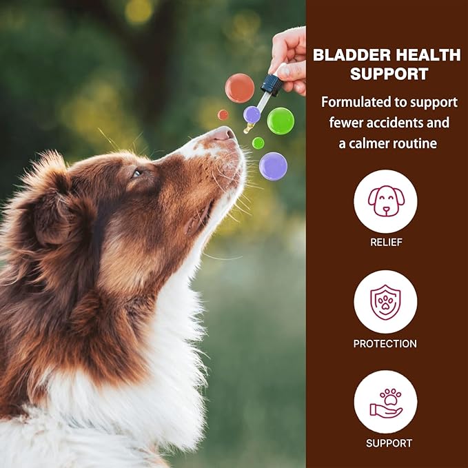 Dog UTI Treatment - Cranberry Supplement Drops for Dogs UTI - Urinary Tract Infection Treatment Medicine, Helps with Bladder & Kidney Health-Chicken