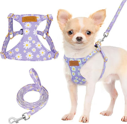 Lukovee Puppy Harness and Leash Set, No Pull Lightweight Soft Suede Adjustable Pet Harness Vest with Snap Buckle for Puppy Small and Medium Size Dog (Purple-S)