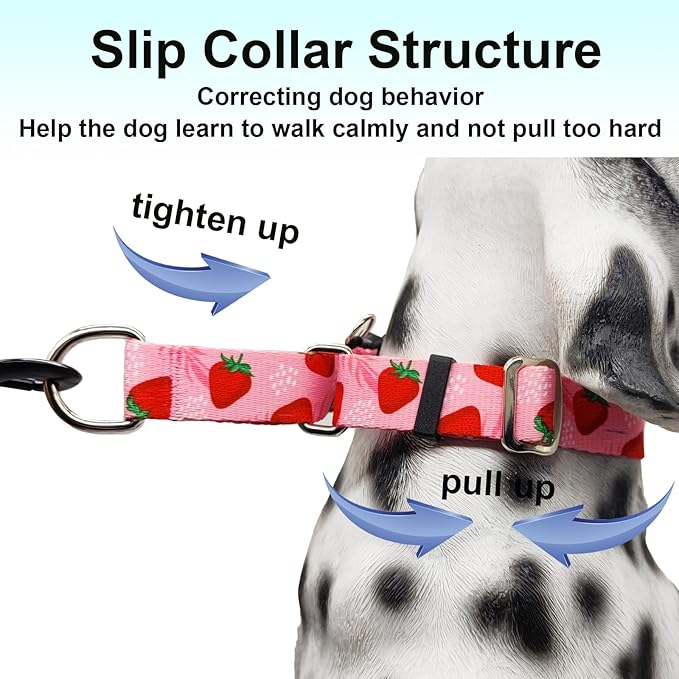 Martingale Collar for Dogs with Buckle Adjustable Nylon Slip No Pull Training Dog Collars (Pink Strawberry, Small)