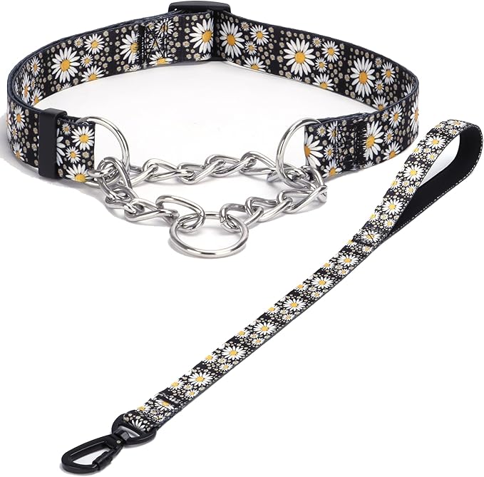 Martingale Dog Collar and Leash Set, Stainless Steel Chain, No Pull Training Collar with Flower Design, for Small, Medium, Large Dogs (NO36, L)