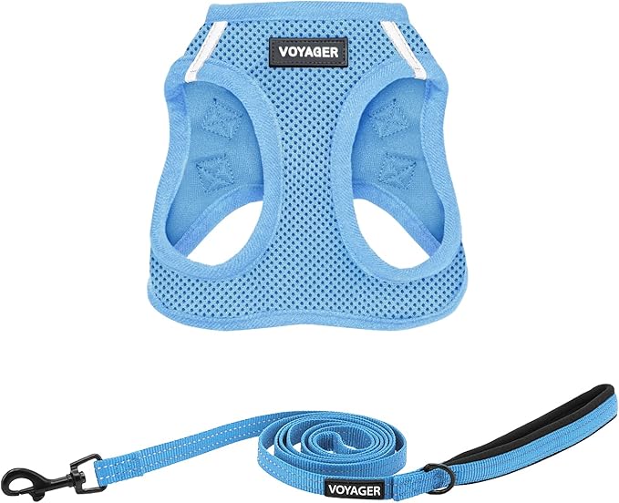 Best Pet Supplies Voyager Step-in Air All Weather Mesh Harness and Reflective Dog 5ft Leash Combo with Neoprene Handle, for Small, Medium and Large Breed Puppies - Set (Baby Blue), Large