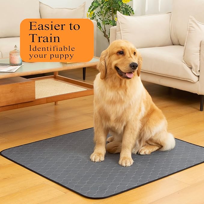 Bunlitent Washable Pee Pads for Dogs 5 Pack, 30x34, Reusable Puppy Pads, Washable Potty Pads with Quick Dry, Anti-Slip Dog Cat Pee Pads, Whelping Pads, Puppy Mat