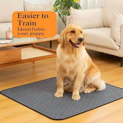 Bunlitent Washable Pee Pads for Dogs 5 Pack, 30x34, Reusable Puppy Pads, Washable Potty Pads with Quick Dry, Anti-Slip Dog Cat Pee Pads, Whelping Pads, Puppy Mat