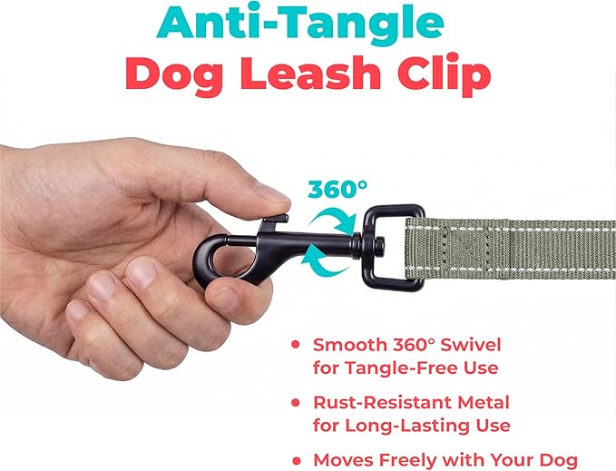 Best Pet Supplies Voyager Reflective Dog Leash or Collar with Neoprene Handle, for Small, Medium, and Large Breed Puppies, Cute and Heavy Duty for Walking, Running and Training - Moss Green (Leash), M