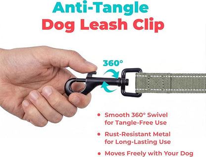 Best Pet Supplies Voyager Reflective Dog Leash or Collar with Neoprene Handle, for Small, Medium, and Large Breed Puppies, Cute and Heavy Duty for Walking, Running and Training - Moss Green (Leash), M