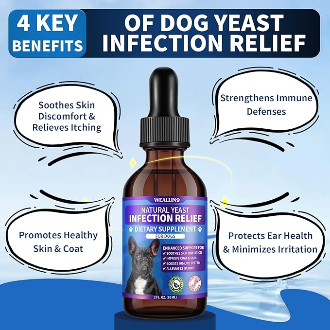 Natural Yeast Infection Treatment for Dogs | Probiotic-Powered Drops with 8-Herbal Blend | Supports Skin, Ears, Allergy Relief | Dog Yeast Infection Treatment Oral Supplement | Bacon-Flavored