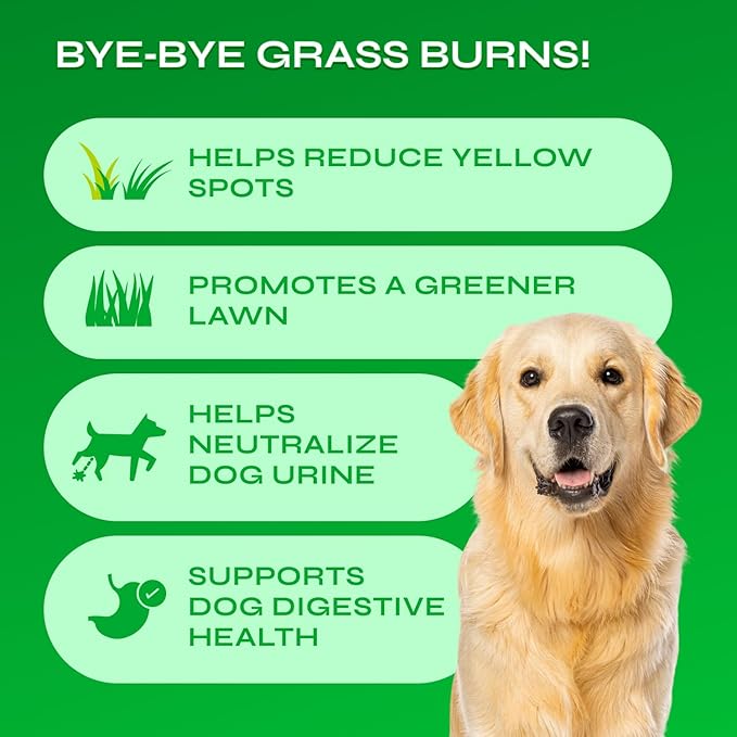 Dog Urine Neutralizer for Lawn with Probiotics - 234 Billion CFU per Pack - Grass Savers for Dog Urine with Digestive Enzymes, Cranberry - Green Grass Dog Chews for Gut Health Support - 130 Treats
