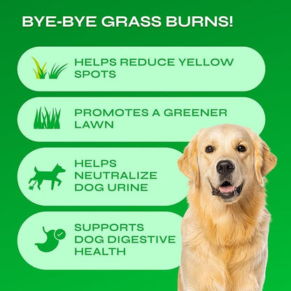 Dog Urine Neutralizer for Lawn with Probiotics - 234 Billion CFU per Pack - Grass Savers for Dog Urine with Digestive Enzymes, Cranberry - Green Grass Dog Chews for Gut Health Support - 130 Treats