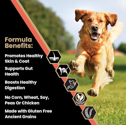 VICTOR Super Premium Dog Food — Sensitive Skin and Stomach — Salmon Meal & Brown Rice Recipe Dry Kibble — Gluten Free, No Chicken, Ideal for Dogs with Allergies — Adult and Puppy Food, 30 lb