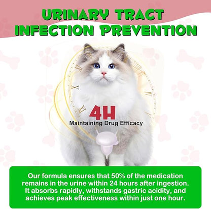 Feline Urinary Tract Health 2Pack, Cat UTI Remedy, Natural Herbal Supplement 4 fl oz, Supporting Regular Care for Urinary Health