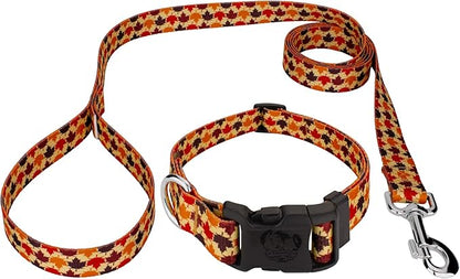 Country Brook Petz - Nature Walk Everyday Dog Collar and Leash Limited Edition - Awesome Autumn Collection Featuring Designs You Will Fall for (1 Inch, Extra Large)