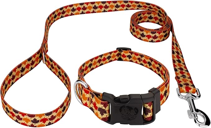 Country Brook Petz - Nature Walk Everyday Dog Collar and Leash Limited Edition - Awesome Autumn Collection Featuring Designs You Will Fall for (1 Inch, Medium)