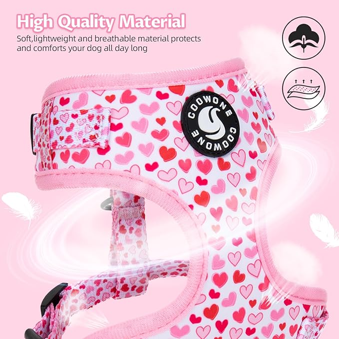 Dog Harness and Leash Set, Adjustable Dog Harness, Dog Leash, No Pull No Choke Puppy Harnesses for Walking Training for Small, Medium Pet (Little Love, XS(Chest 11-13", Neck 9-11"))