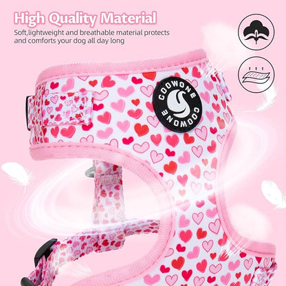 Dog Harness and Leash Set, Adjustable Dog Harness, Dog Leash, No Pull No Choke Puppy Harnesses for Walking Training for Small, Medium Pet (Little Love, XS(Chest 11-13", Neck 9-11"))