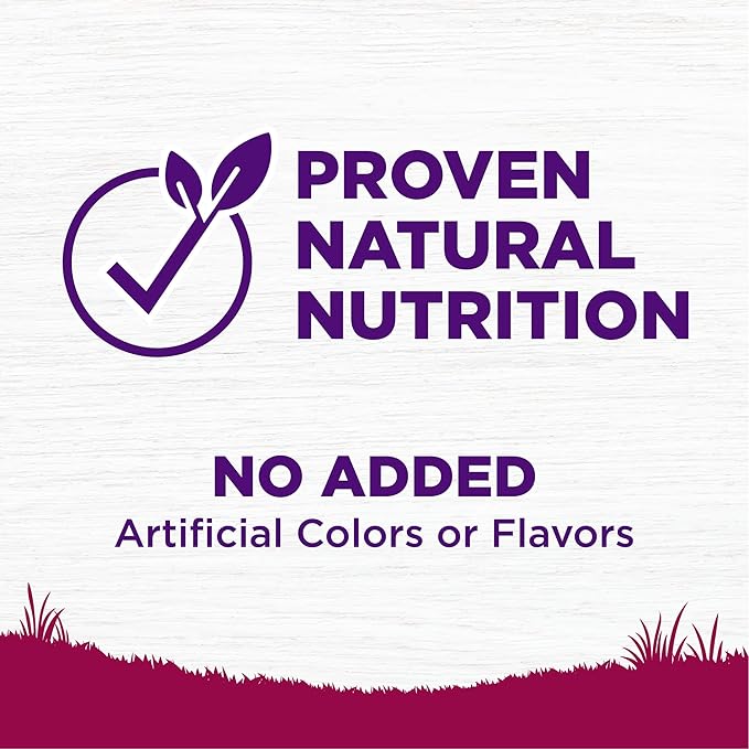 Wellness Complete Health Healthy Weight Small Breed Adult Dry Dog Food, Wholesome Grain Kibble, Natural, Turkey and Brown Rice Recipe, 4 lb Bag