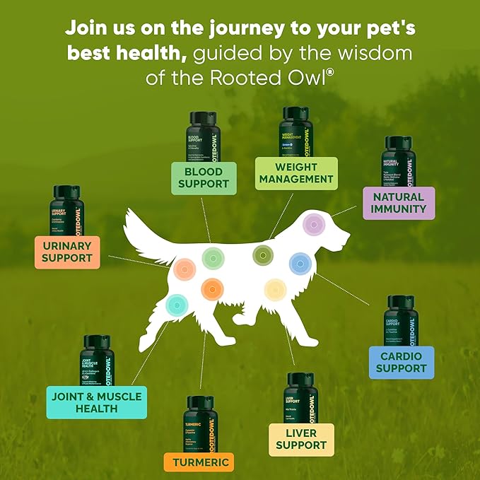 Rooted Owl Metabolism Support - L-Carnitine Supplement for Dogs and Cats to Support Healthy Weight - Dog and Cat Supplement - 60/ct