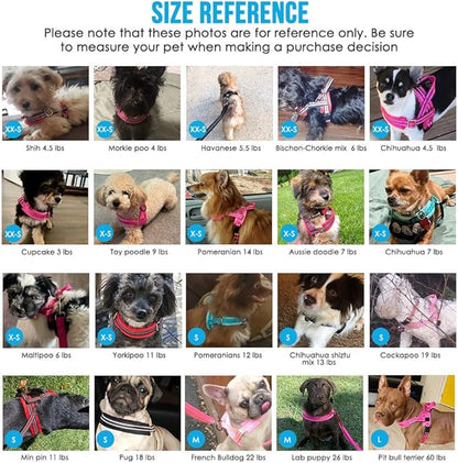 Lukovee No Pull Dog Harness and Leash Set, Soft Padded Small Dog Harness, Neck & Chest Adjustable Reflective Vest Puppy Harness with 4ft Lightweight Anti-Twist Dog Leash for Small Dogs (Purple, M)