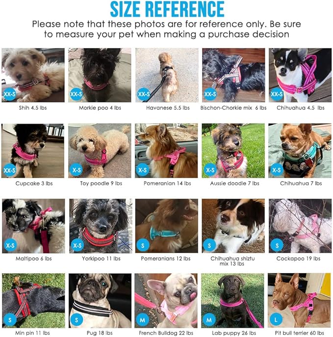 Lukovee No Pull Dog Harness and Leash Set, Soft Padded Small Dog Harness, Neck & Chest Adjustable Reflective Vest Puppy Harness with 4ft Lightweight Anti-Twist Dog Leash for Small Dogs (LBL, XS)