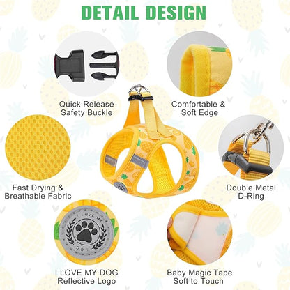 BEAUTYZOO Step in Dog Harness and Leash Set,Reflective Dog Harness No Pull No Choke Puppy Harness for Small Medium Large Dogs Cats,Soft Padded Mesh Vest Harnesses for Girl and Boy Pets, Pineapple M