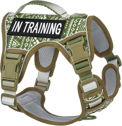 AUNZO No-Pull Dog Harness for Small Dog Breeds, Escapeproof Easy Walking Reflective Adjustable Lightweight Dog Vest with Breathable Oxford Material, Easy on Easy Off with Neck Buckle, Green Ethnic XS