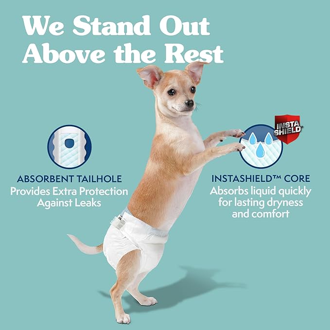 Simple Solution Disposable Dog Diapers for Female Dogs, Leak Proof Diaper for Dogs, Potty Training, XS Puppy Training, Incontinence, Diaper for Peeing, For Small Pets, 9-14 Inch Waist, 12 Count