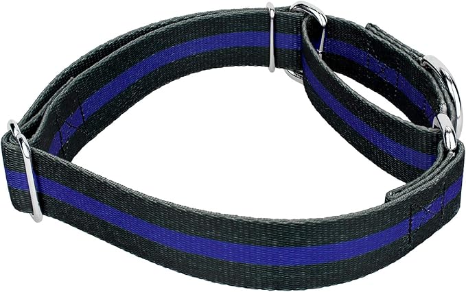Country Brook Petz - Thin Blue Line Martingale Dog Collar and Leash - Camouflage Collection Featuring Rugged Designs (1 Inch, Medium)