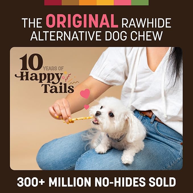 Earth Animal No Hide Stix - Long Lasting Rawhide Free Small Dog Chews Sticks, Salmon - 10 Count