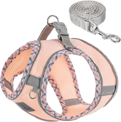 Dog Harness and Leash Set, No Pull Pet Harness for Small Dogs Easy Walking,Soft Breathable Small Dog Harness,Adjustable Reflective Step in Vest Harness for Puppy ,kitten, Cats