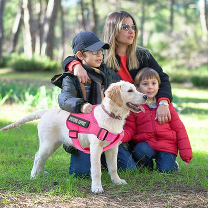 voopet Service Dog Harness, Emotional Support Pet Vest Harness, Reflective Breathable & Adjustable No Pull ESA Harness for Small Medium Large Dogs (with 4 PCS Removeable Tags),X Small (Pack of 1)