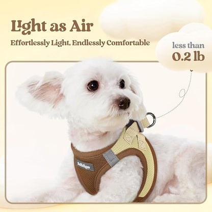 rabbitgoo Dog Harness Small Sized and Leash Set, Step in Soft Light Puppy Vest, Breathable Mesh Pet Harness, Reflective for Safe Easy Walking, Brown & Beige S