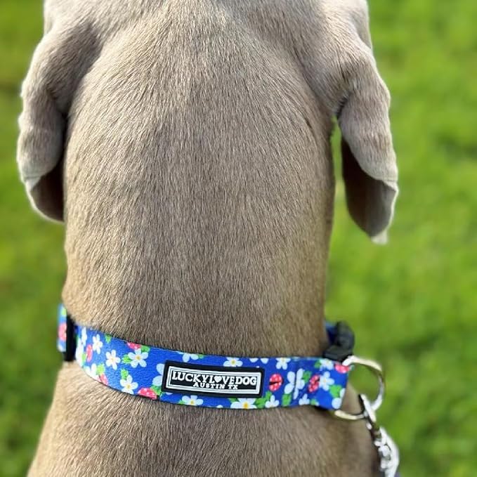 Lucky Love Dog - Easy Click Buckle Dog Collar with Leash Set Combo, Durable & Comfortable for Male & Female Dogs, Pet Collar for Large Dogs, Secure Fit - Lilian Combo, Large