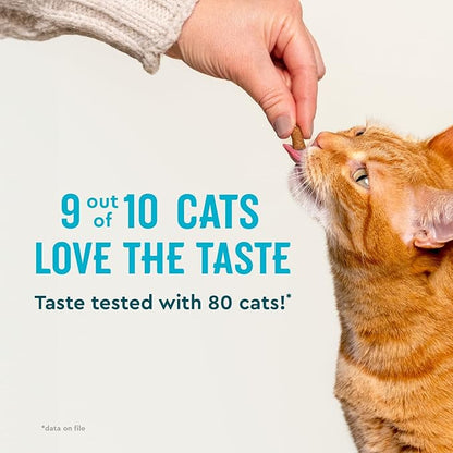 VetIQ Cat Probiotics Supplement – Probiotic, Prebiotic & Postbiotic Cat Supplements, Digestive & Gut Health Support, Constipation & Diarrhea Relief, Chicken Flavored, 3.7 oz