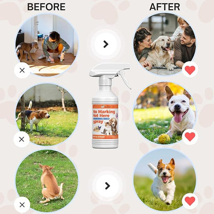 Qucship 16oz Control Your Dog's Indoor Behavior with This Special Spray, Stop Your Dog Wrong Marking with This Solution, Keep Your Home Clean with Our Dog Training Spray