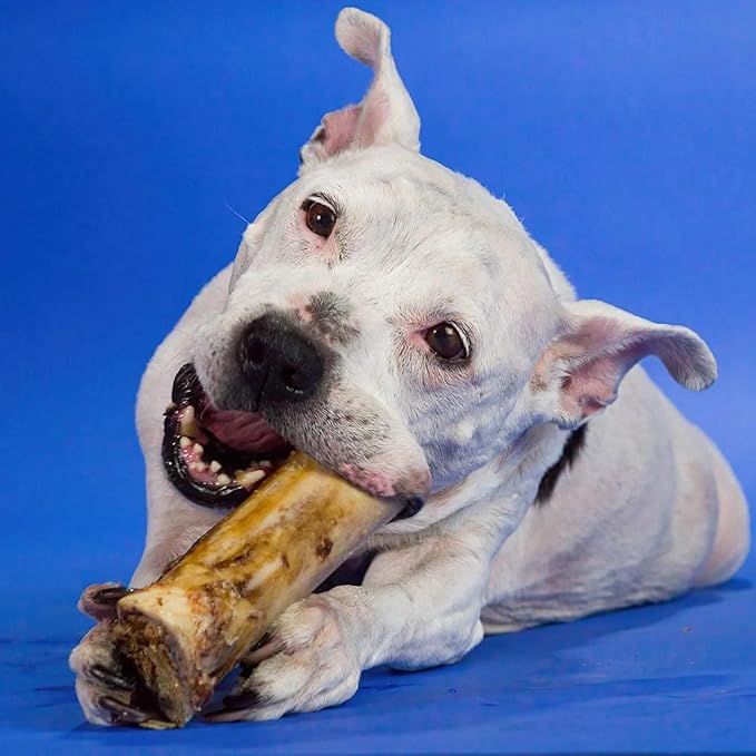 Best Bully Sticks Marrow Bones for Dogs - 8 Count (Pack of 1) - USA Packed, Healthy Snack, Grass-Fed Beef, Long-Lasting - Large Breeds