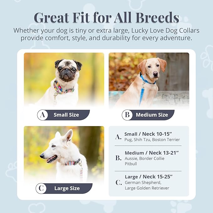 Lucky Love Dog Martingale Dog Collar - Adjustable, No-Slip, Durable, & Soft Webbing Collar for Male and Female Dogs Ideal for Training & Walking - Linus, Small